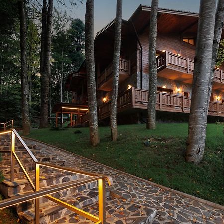 Chalet Royal Sinaia Eksteriør billede